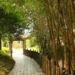 Path to healing centre